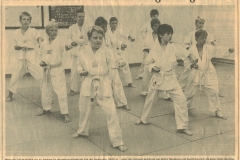 Die-Karate-Kids-haben-wieder-zugeschlagen